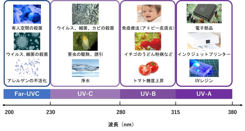 要件確認資料P.7_イラスト6jpeg