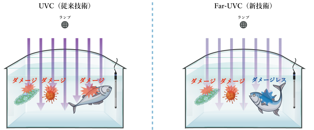 イラスト3_文字有り