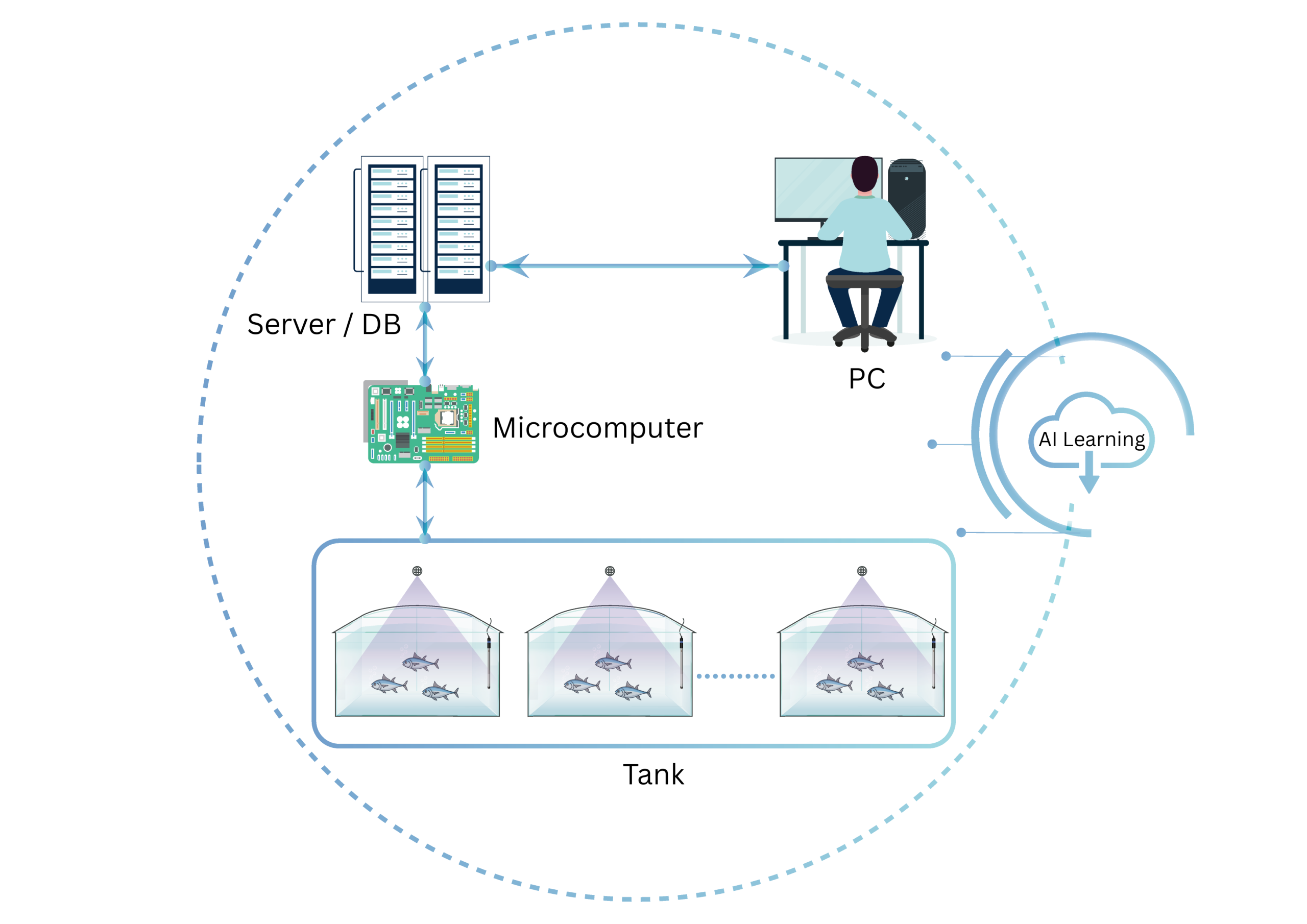 Server DB english
