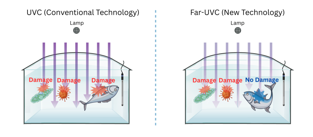 UVC (Conventional Technology)